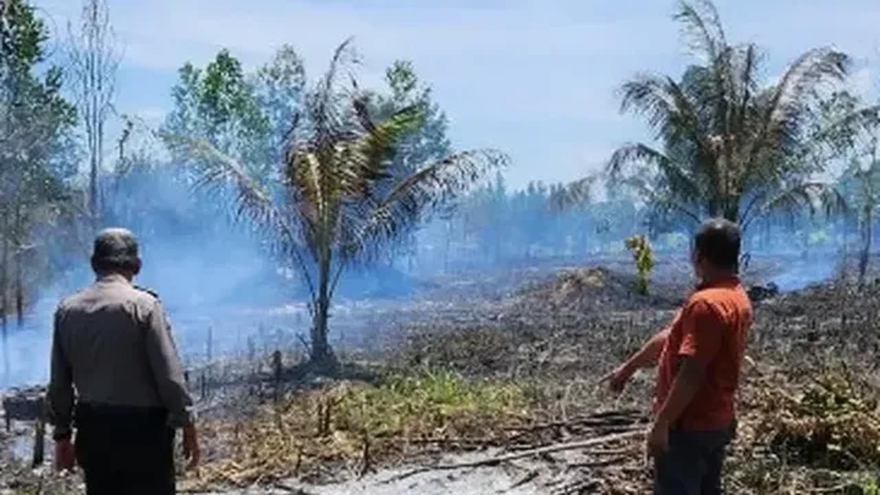 Awalnya anggota Polsek Jejawi menemukan lahan terbakar saat patroli, Sabtu (16/9) siang. Polisi mendapati warga tengah memadamkan api di TKP.<br>