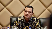 Wakil Ketua Badan Legislasi (Baleg) DPR RI Martin Manurung (Istimewa)