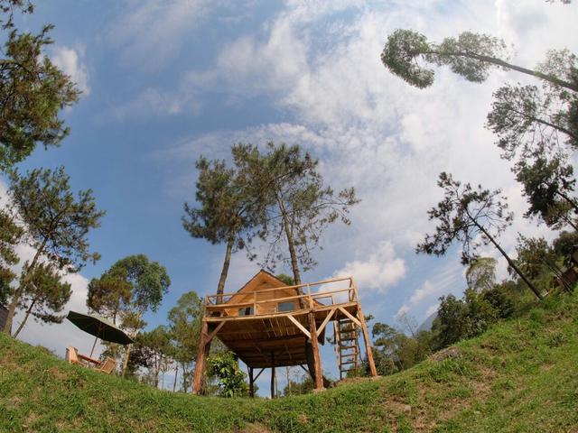 Liburan Berkesan Di Primadona Papandayan Terpopuler Di Instagram Lifestyle Liputan6 Com