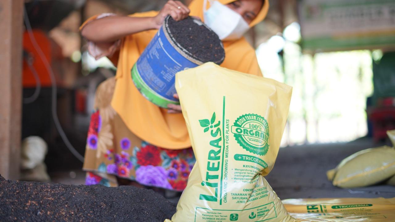 Bagian dari program Literasi (Lingkungan Peternakan Sapi Terintegrasi) oleh Petrokimia Gresik