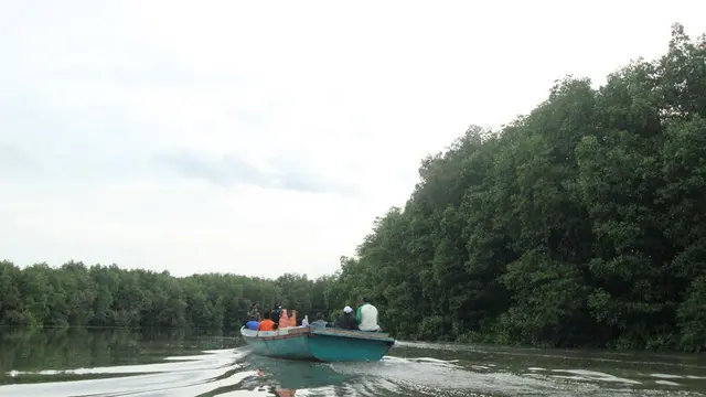 Transportasi Sungai di Kaltim