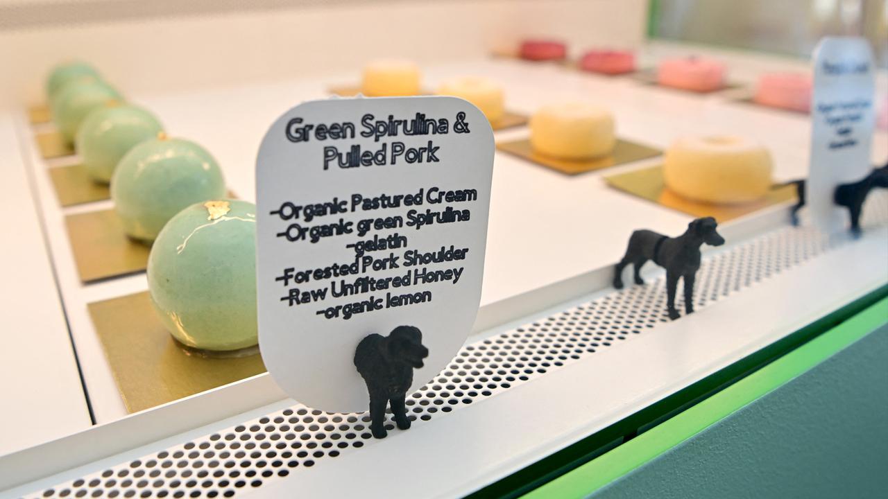 Mengunjungi Restoran Mewah untuk Anjing di San Francisco