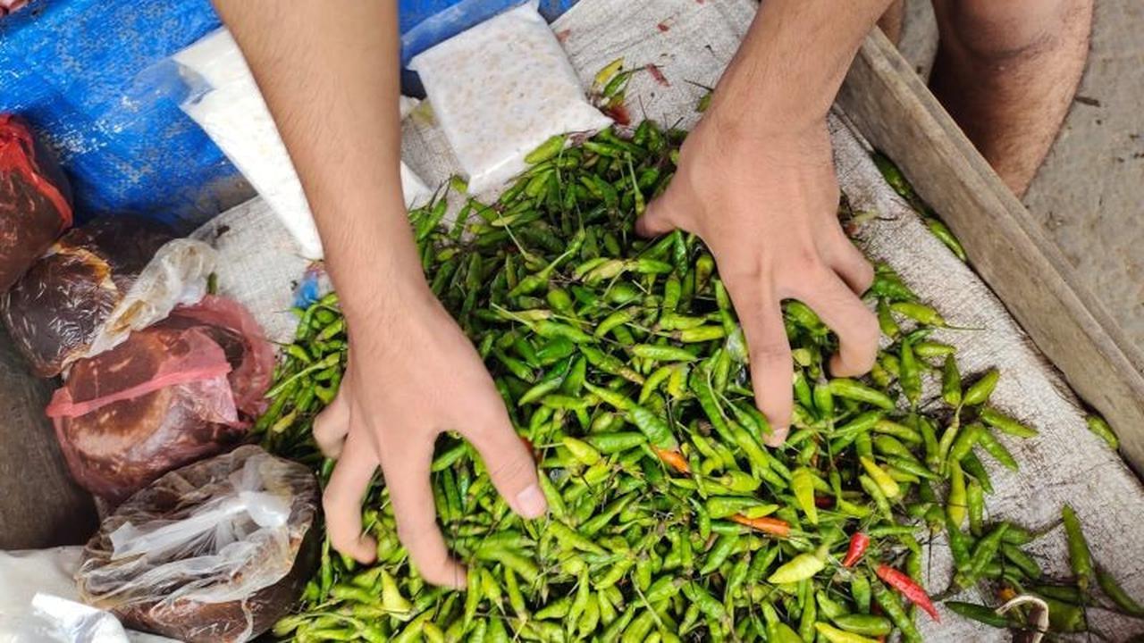 Pemprov Lampung Imbau Masyarakat Tidak Panic Buying Demi Kestabilan Harga Pangan Jelang Lebaran 2026