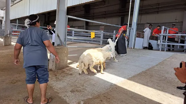 Pasar Anam di Makkah, salah satu tempat membeli kambing untuk membayar dam. (Liputan6.com/Mevi Linawati)
