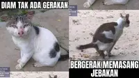 Meme diam bergerak (Sumber: 1cak,com)