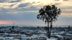 Sebuah pohon terlihat di antara tenda-tenda yang menampung para pengungsi Palestina di Khan Yunis, Jalur Gaza selatan, pada 6 Oktober 2024. (Bashar TALEB/AFP)
