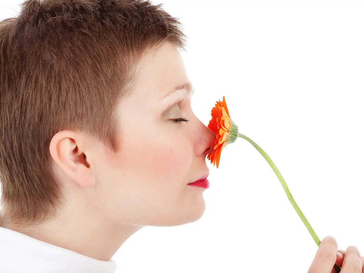 Indra penciuman hidung membantu kita mengenali berbagai aroma, dari yang menyenangkan hingga peringatan bahaya