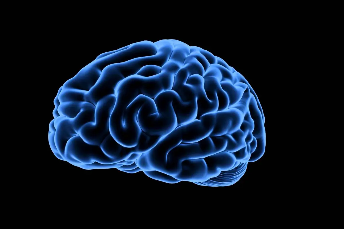 Meningitis, Penyakit yang Renggut Nyawa Narendra KDI