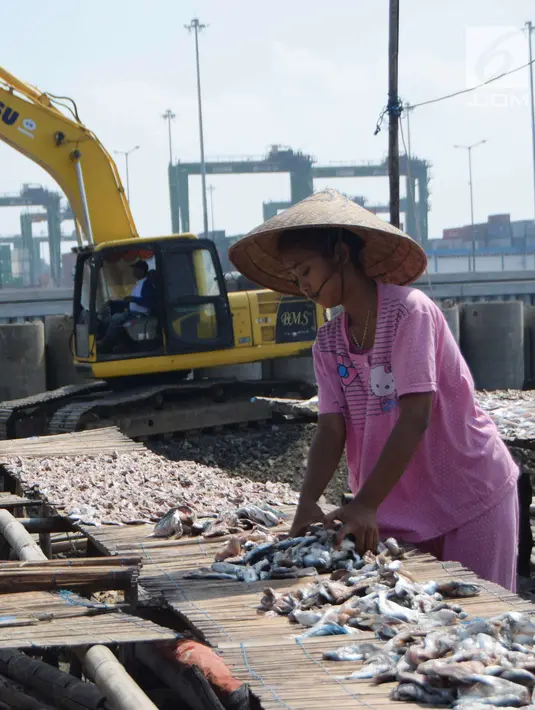 Seorang ibu tengah menjemur ikan asin di kawasan Cilincing, Jakarta Utara, Rabu (9/5). Produksi ikan asin di kawasan tersebut untuk memenuhi kebutuhan di wilayah Jabodetabek. (Liputan6.com/Angga Yuniar)