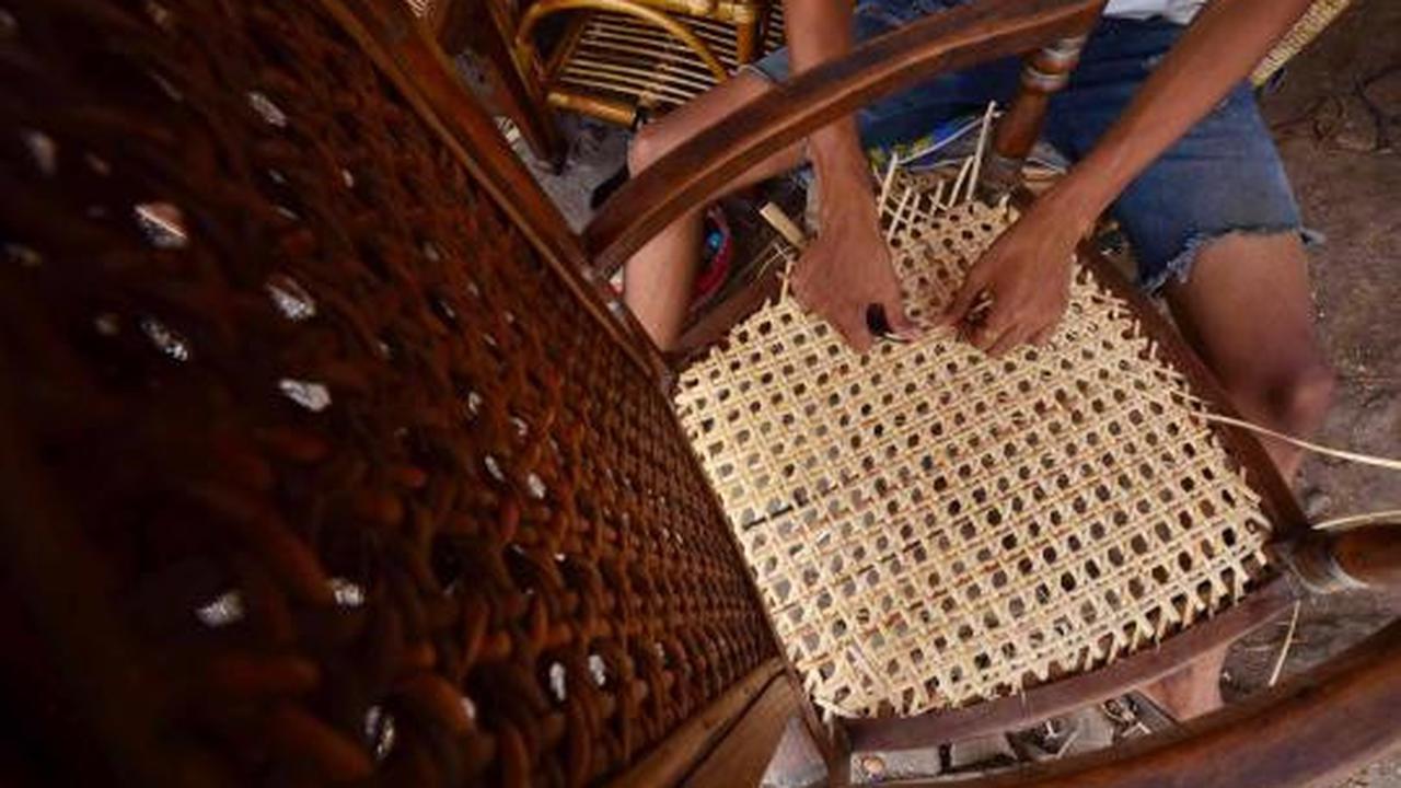 Mengais rejeki dari rotan
