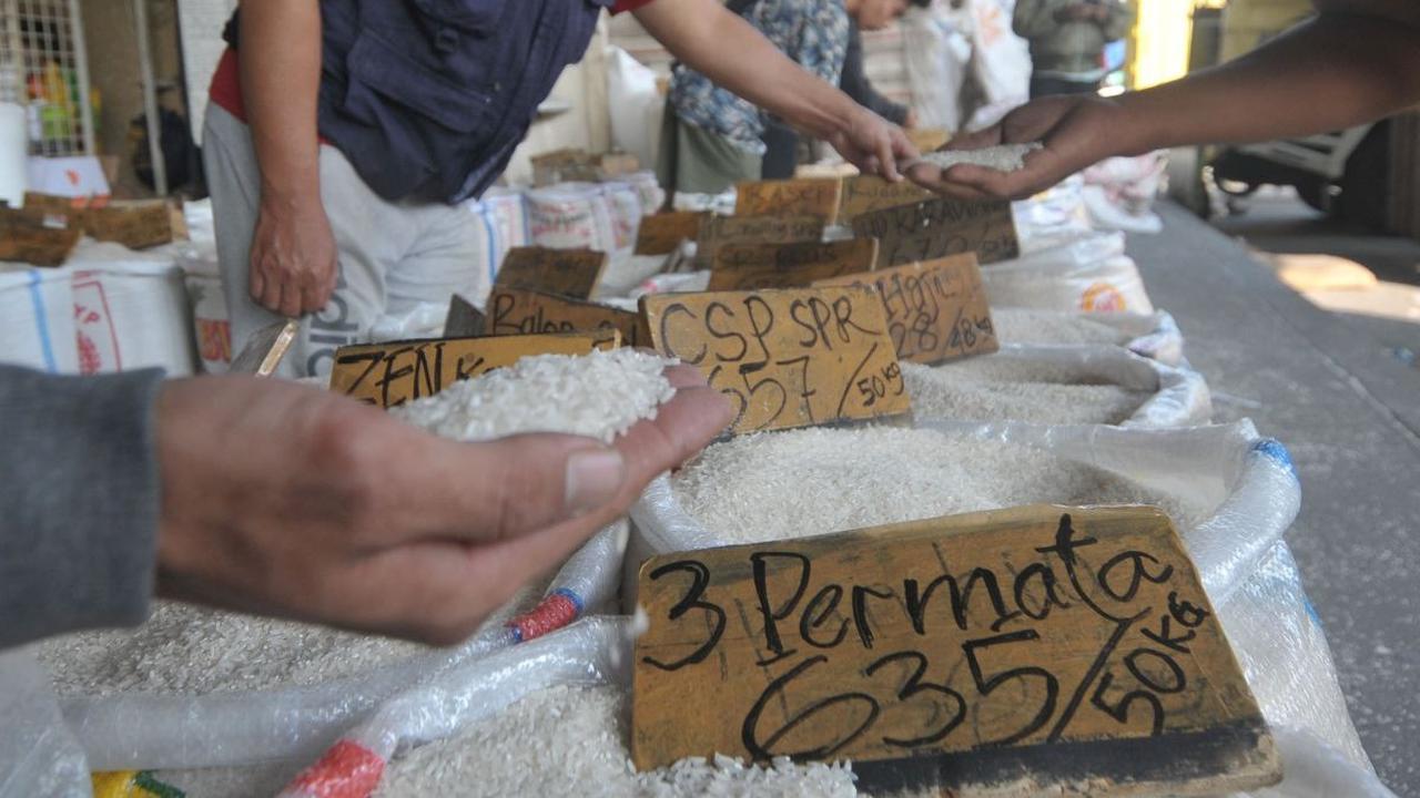 Pedagang eceran beras memilih jenis beras di Pasar Induk Beras Cipinang, Jakarta, Kamis (20/6/2024). Harga komoditas pangan di Indonesia terpantau mengalami kenaikan yang signifikan pada pagi ini. Foto: merdeka.com / Imam Buhori<br>