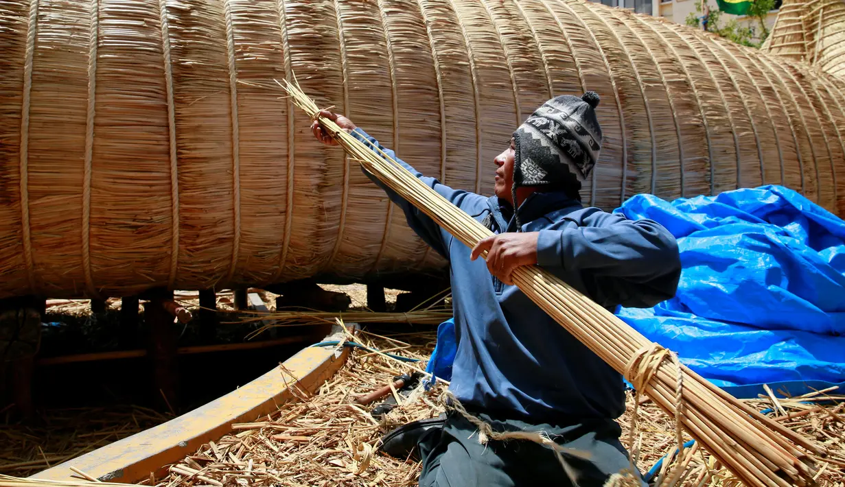 Salah satu pekerja mengikat batang pohon Totora yang akan digunakan untuk membuat perahu 'Viracocha III' di kota La Paz Bolivia, Rabu (19/10). Tumbuhan Totora atau alang-alang mengambang ini banyak ditemukan di danau Titicaca. (Reuters/David Mercado)