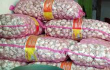 Beda dengan KPPU, Kemendag Sebut Harga Bawang Putih Naik karena Realisasi Impor Rendah