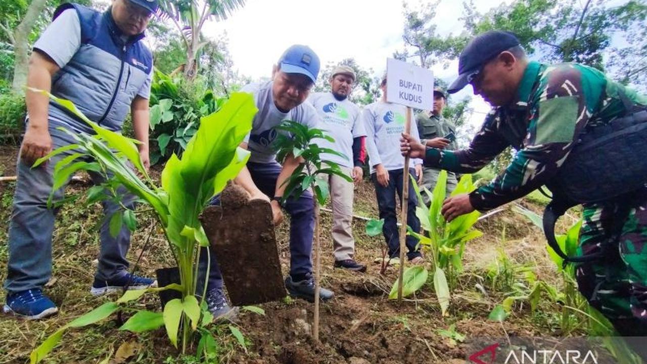 PWI Kudus Peringati HPN dengan Aksi Penghijauan, Tanam Ratusan Pohon di Pegunungan Muria