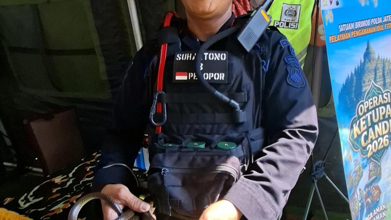 Brimob Evakuasi Ular