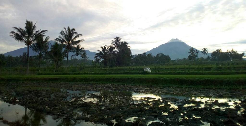 Kadangkala matahari terbit tanpa menyiratkan sinar jingga, namun tak mengurangi keanggunan Merapi. (foto : Liputan6.com / edhie prayitno ige)