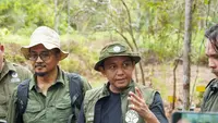 Menhut Lepasliarkan 2 Orangutan di Tanjung Puting, Jaga Lestari Habitat Alami