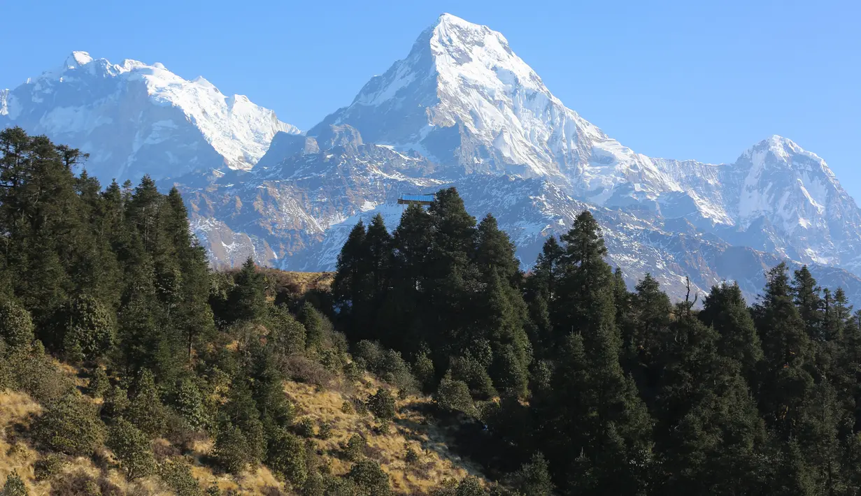 Pemandangan pegunungan bersalju terlihat dari Bukit Poon yang terletak di Distrik Myagdi, Nepal (15/2/2020). Bukit Poon, yang juga dikenal sebagai Poon Hill, merupakan sebuah lokasi di sepanjang rute pendakian di wilayah Annapurna yang populer di kalangan wisatawan. (Xinhua/Zhou Shengping)