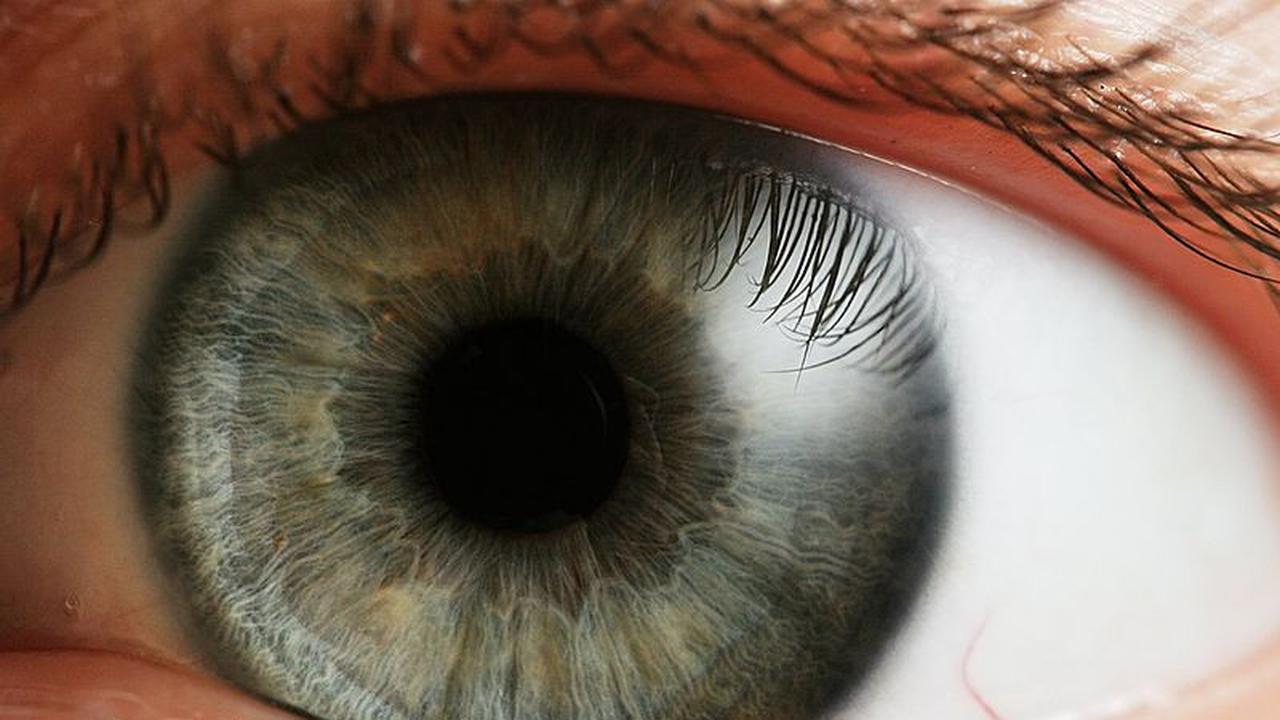 Ilustrasi mata | Wikimedia Commons