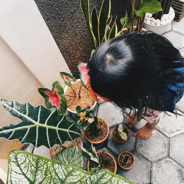 Rumah Ricky Harun