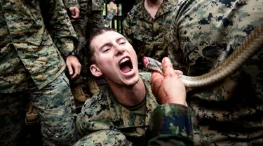 Anggota Marinir AS meminum darah ular kobra saat latihan militer gabungan Cobra Gold antara militer AS dan Thailand di Chonburi, Thailand (19/2). Saat latihan para marinir meminum darah kobra untuk bertahan hidup. (AFP Photo/Lilian Suwanrumpha)