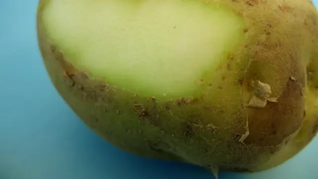 [Bintang] 8 Makanan Beracun