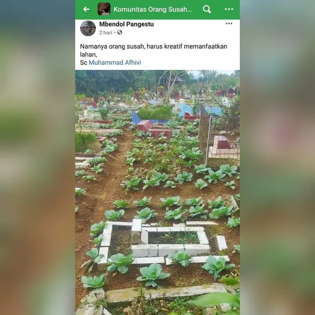 6 Potret Kuburan yang Jauh dari Suasana Seram, Ada yang Warna-warni