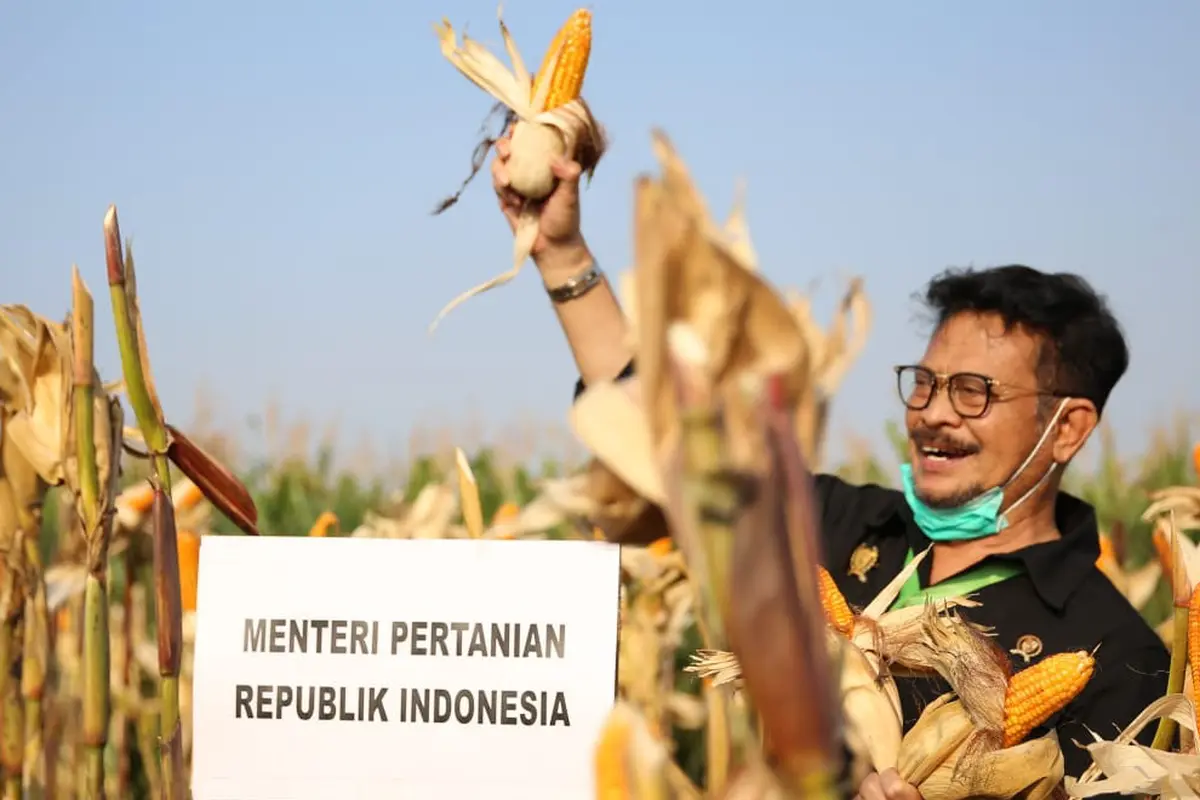 Kunker ke Kendal, Mentan SYL Panen Jagung dan Serahkan Bantuan Senilai Rp 8,72 Miliar 
