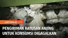 Polisi dan petugas Jasa Marga menangkap truk yang mengangkut ratusan anjing di Tol Kalikangkung, Semarang, Jawa Tengah. Kuat dugaan ratusan anjing ini akan diperjualbelikan dagingnya di kawasan Solo.