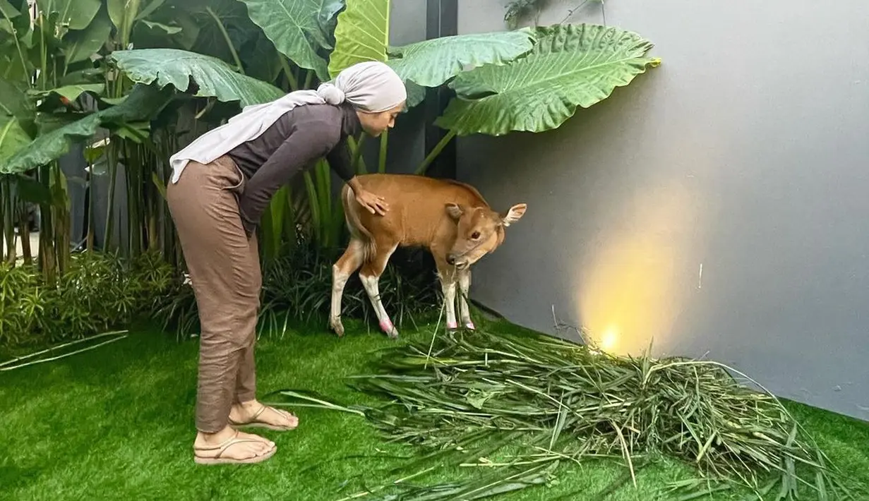 Ayudia Bing Slamet ultah ke-31 (Instagram/dittopercussion)