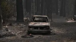 Sebuah mobil dan pohon-pohon yang terbakar hancur dalam Kebakaran Dixie Fire di daerah Air Terjun India di Plumas County, California (26/7/2021). Kebakaran terjadi sejak 14 Juli itu telah meratakan lebih dari selusin rumah dan bangunan lainnya ketika melahap kota kecil Indian Falls. (AFP/Robyn Beck)