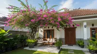 8 Jenis Pohon Kecil untuk Teras Rumah yang Sejuk dan Tidak Mengganggu Fondasi