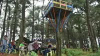 Pegunungan Pinus di Batang. (Liputan6.com/Fajar Eko Nugroho)