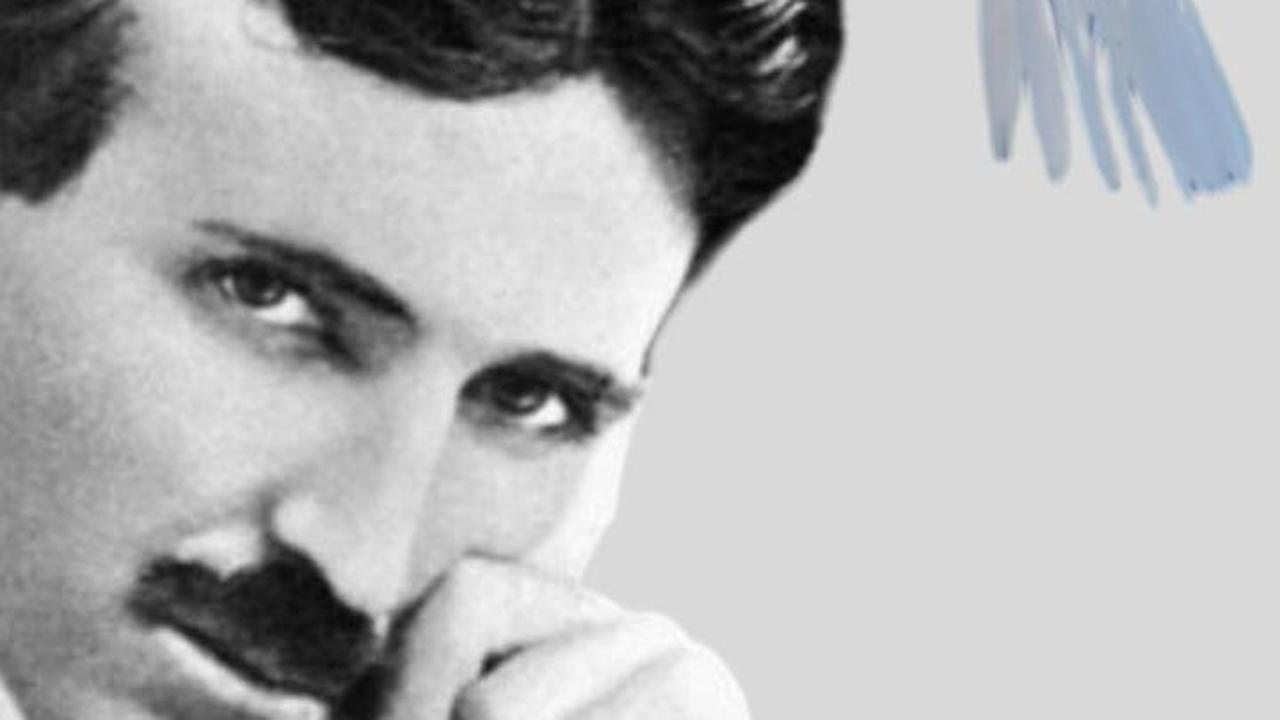 Saat Terpuruk, Hewan Ini Jadi “Teman Ngobrol” Nikola Tesla