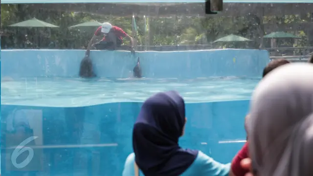 20170414-Berkenalan dengan Lumba-Lumba di Dolphin Bay Ancol-Fanani