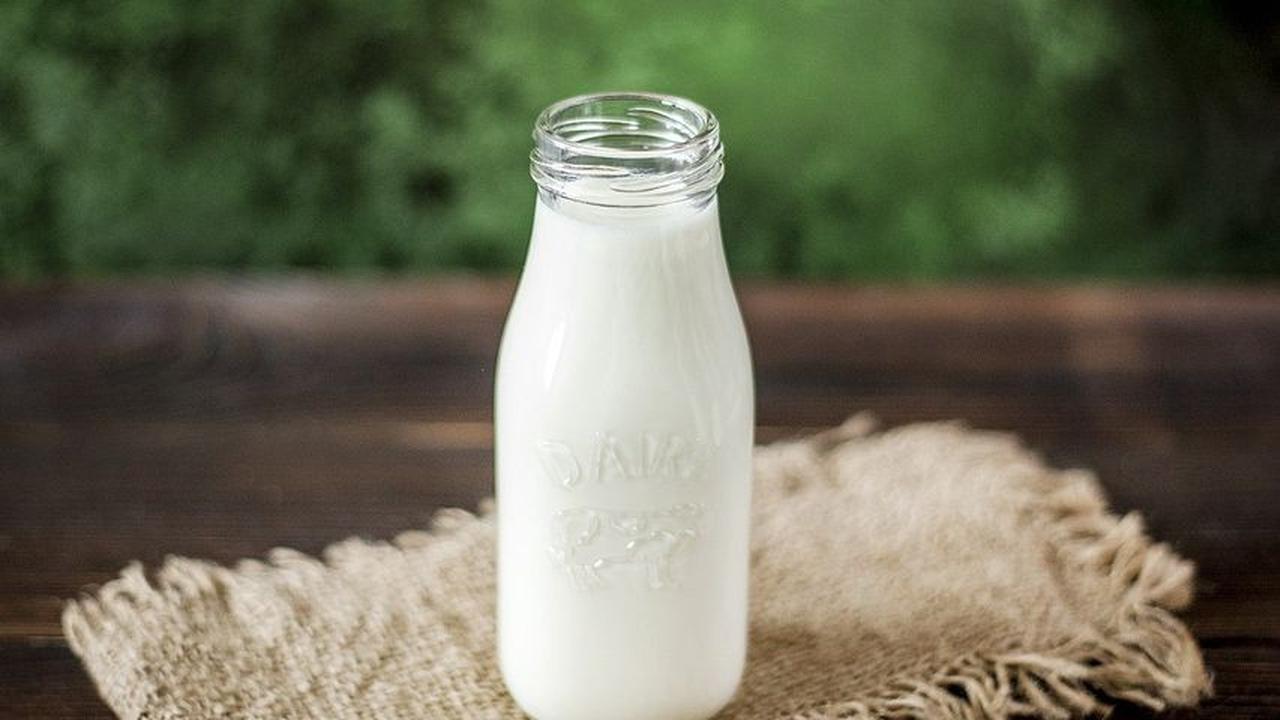 Manfaat Buttermilk untuk Kesehatan