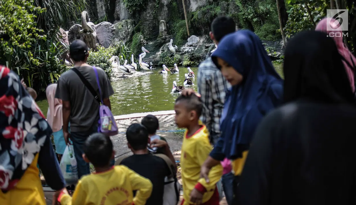 Sejumlah anak TK melihat burung pelikan di Taman Marga Satwa Ragunan, Jakarta, Kamis (13/12). Kegiatan tersebut juga untuk memberikan wawasan kepada anak-anak betapa pentingnya mencintai satwa. (Liputan6.com/Faizal Fanani)
