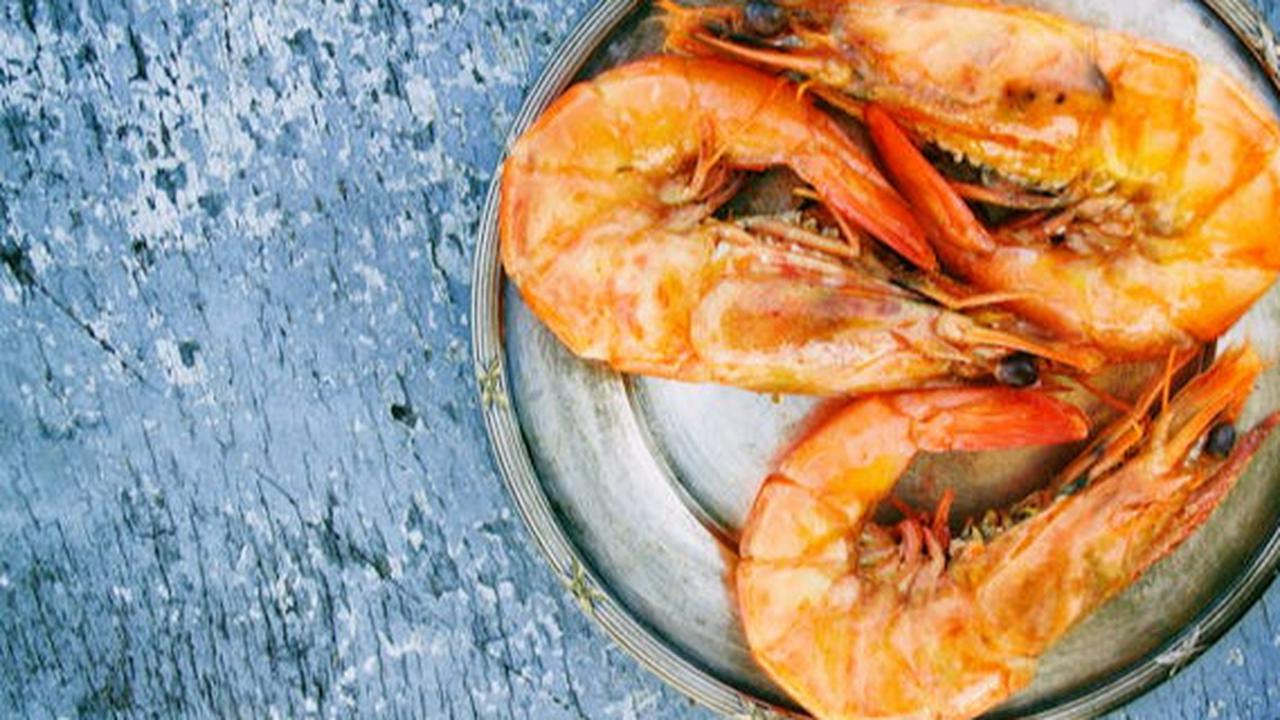 Ajaib! 6 Hewan Ini Hidup Tanpa Otak, Tetap Bisa Bergerak dan Berfungsi Normal