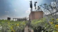 Bikin Rumah Lebih Hijau, Ini 8 Ide Taman di Atap yang Asri dan Cantik
