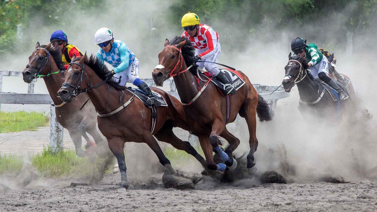 FOTO: Gagahnya Derap Kuda di Bantul,  Piala Raja Hamengku Buwono X 2025 Hidupkan Tradisi dan Sport Tourism