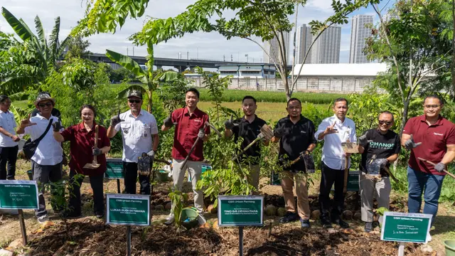 Program CSR Urban Farming yang dijalankan pengembang properti perkotaan Lippo Cikarang Cosmopolis. (Dok PT Lippo Cikarang Tbk)