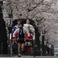 Wanita mengenakan Kimono naik becak di bawah kanopi bunga sakura yang mekar penuh di Tokyo, 31 Maret 2022. Orang-orang di seluruh Jepang merayakan puncak musim melihat bunga sakura minggu ini tanpa pembatasan COVID-19 untuk pertama kalinya dalam dua tahun. (AP Photo/Shuji Kajiyama)