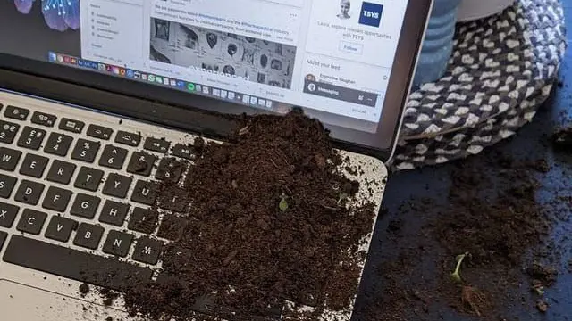 7 Momen Apes Lagi Kerja di Kantor yang Bikin Malas