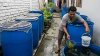 5 Jenis Ikan yang Cocok Dipelihara di Drum Selain Nila, Cocok untuk Budidaya Lahan Sempit