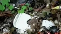 Segmen 3: Pelarangan Styrofoam hingga Hallowen Terakhir Obama 