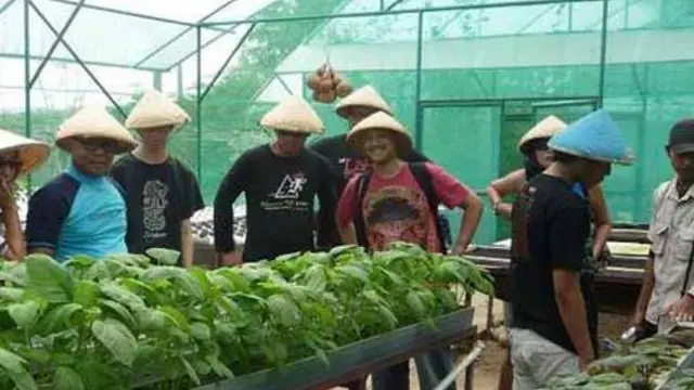 Hidroponik di Kebun Wisata Pasirmukti (Sumber: pasirmukti.co.id)