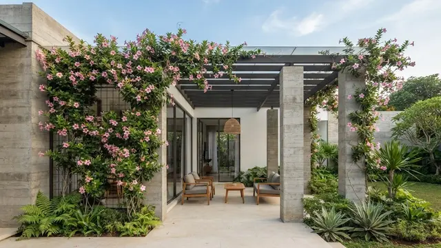 Teras Semi-Outdoor dengan Kolom Beton dan Mandevilla