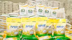 Pemerintah Siapkan Rp 1,2 Triliun untuk Bantuan Pangan Korban Bencana