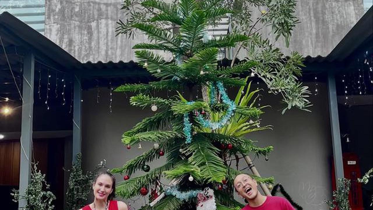 6 Potret Pohon Natal Nadine Chandrawinata di Halaman Rumah, Ditanam Sejak 2022