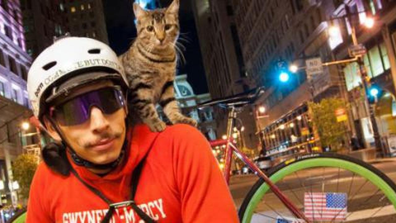 Wow, kucing ini ikut mengantar surat keliling Philadelphia!